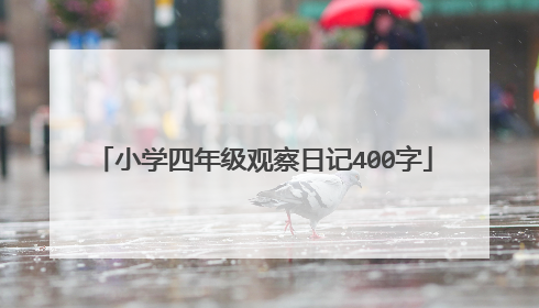 小学四年级观察日记400字
