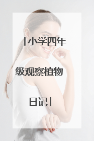 小学四年级观察植物日记