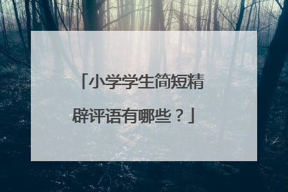 小学学生简短精辟评语有哪些?