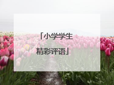 小学学生精彩评语