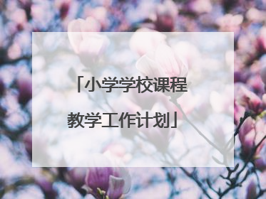 小学学校课程教学工作计划