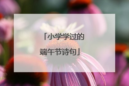 小学学过的端午节诗句