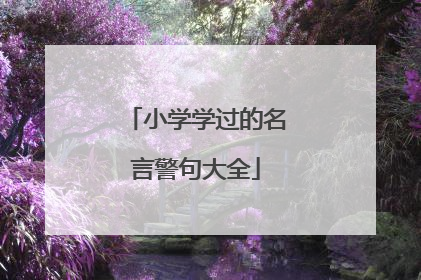 小学学过的名言警句大全