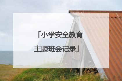 小学安全教育主题班会记录
