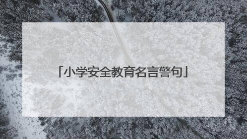 小学安全教育名言警句