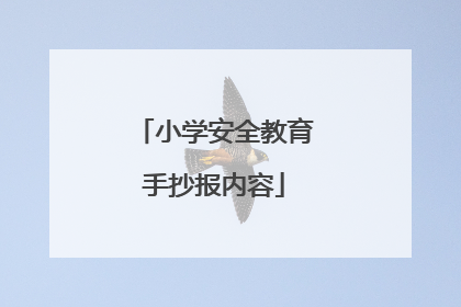 小学安全教育手抄报内容