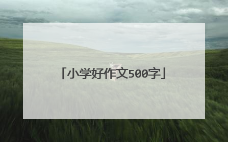 小学好作文500字