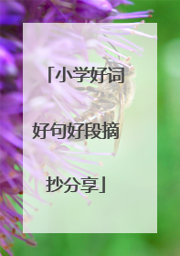 小学好词好句好段摘抄分享