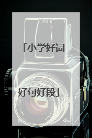 小学好词好句好段