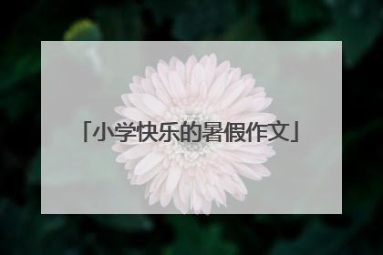 小学快乐的暑假作文