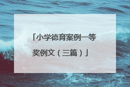 小学德育案例一等奖例文(三篇)