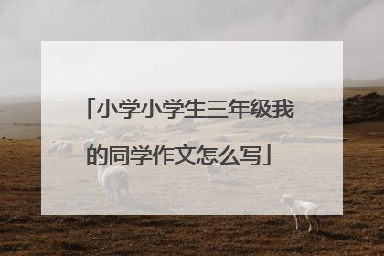 小学小学生三年级我的同学作文怎么写