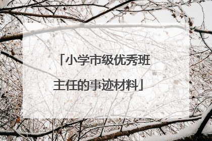 小学市级优秀班主任的事迹材料