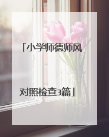 小学师德师风对照检查3篇