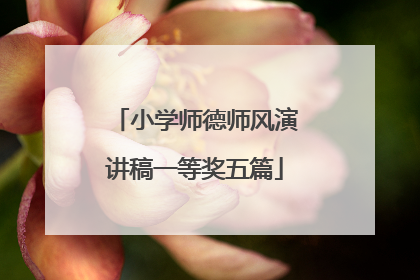 小学师德师风演讲稿一等奖五篇