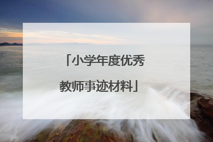 小学年度优秀教师事迹材料