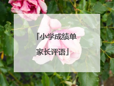 小学成绩单家长评语