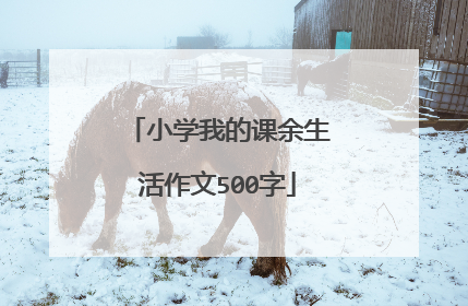 小学我的课余生活作文500字