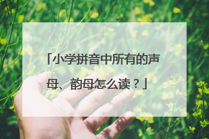 小学拼音中所有的声母、韵母怎么读？