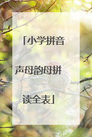 小学拼音声母韵母拼读全表