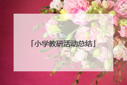 小学教研活动总结