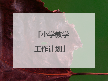 小学教学工作计划