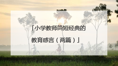 小学教师简短经典的教育感言（两篇）