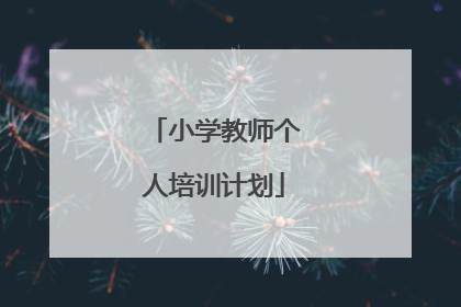 小学教师个人培训计划
