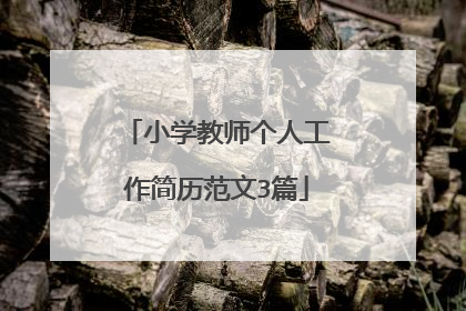 小学教师个人工作简历范文3篇