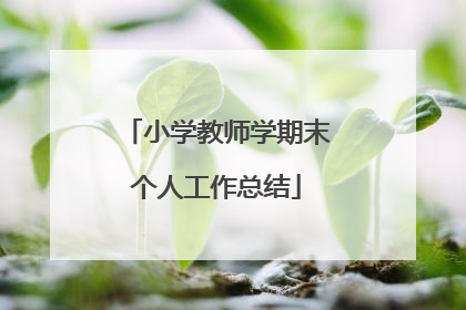 小学教师学期末个人工作总结