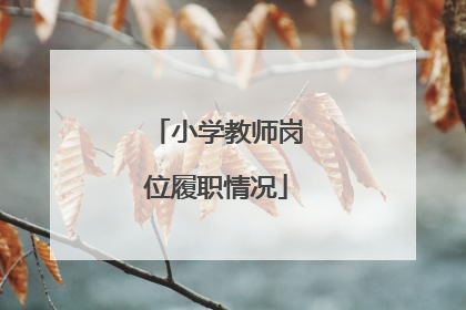 小学教师岗位履职情况