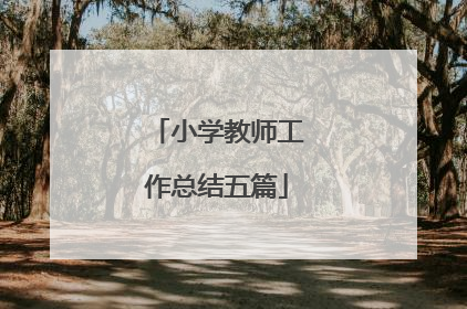 小学教师工作总结五篇