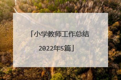 小学教师工作总结2022年5篇