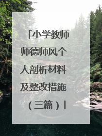 小学教师师德师风个人剖析材料及整改措施(三篇)
