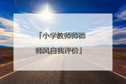 小学教师师德师风自我评价