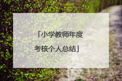 小学教师年度考核个人总结