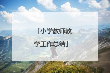 小学教师教学工作总结