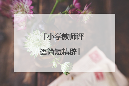 小学教师评语简短精辟
