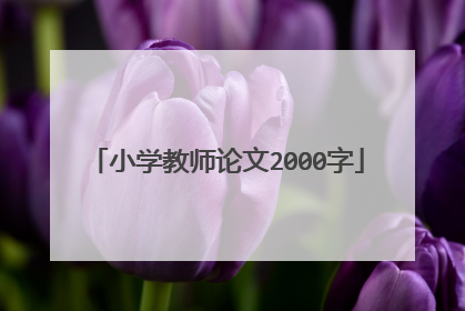 小学教师论文2000字