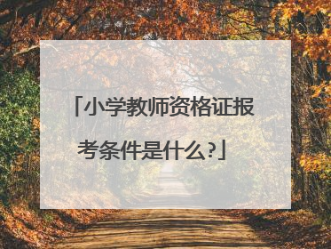 小学教师资格证报考条件是什么?