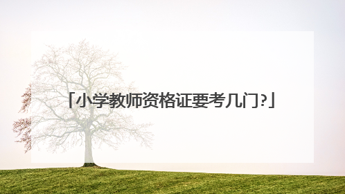 小学教师资格证要考几门?