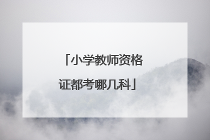 小学教师资格证都考哪几科