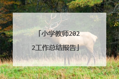 小学教师2022工作总结报告