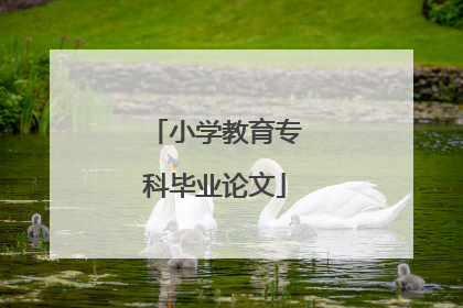 小学教育专科毕业论文