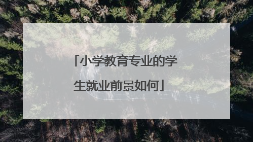 小学教育专业的学生就业前景如何
