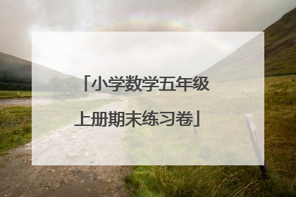 小学数学五年级上册期末练习卷