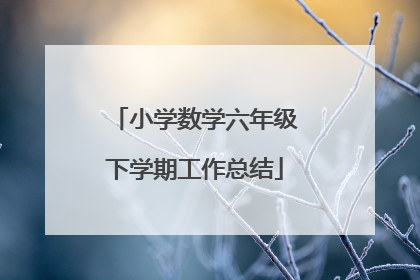 小学数学六年级下学期工作总结