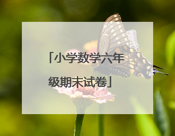 小学数学六年级期末试卷