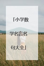 小学数学名言名句大全