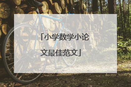 小学数学小论文最佳范文